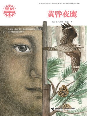 cover image of 黄昏夜鹰